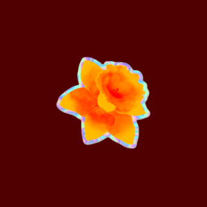 Jonquille